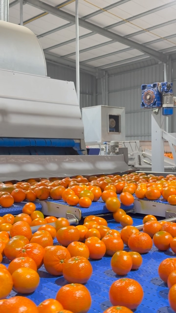 C&L FRUIT – CONFIANZA, CALIDAD Y COMPROMISO